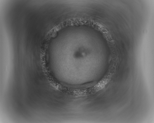 X0000113580192200909181314