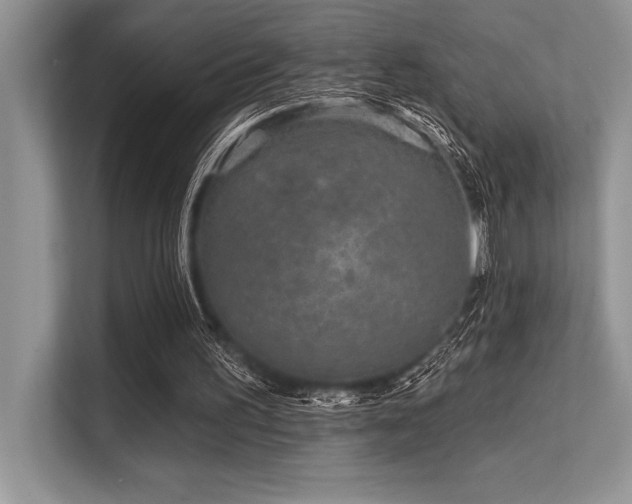 X0000113580195200909181314