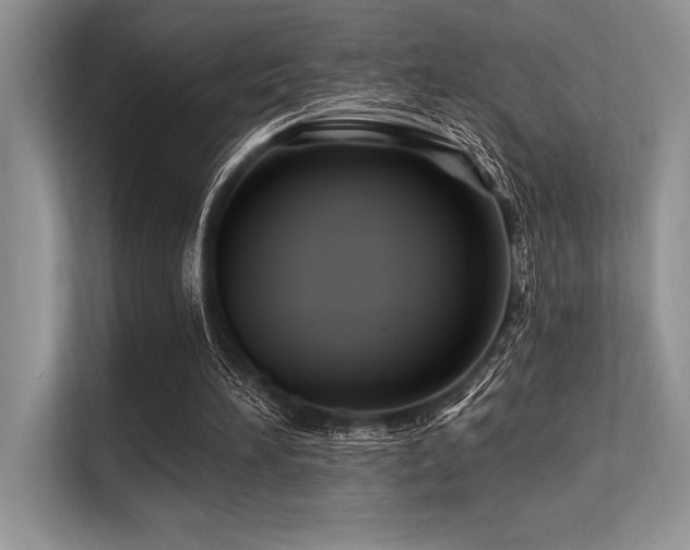 X0000113580196200909181314