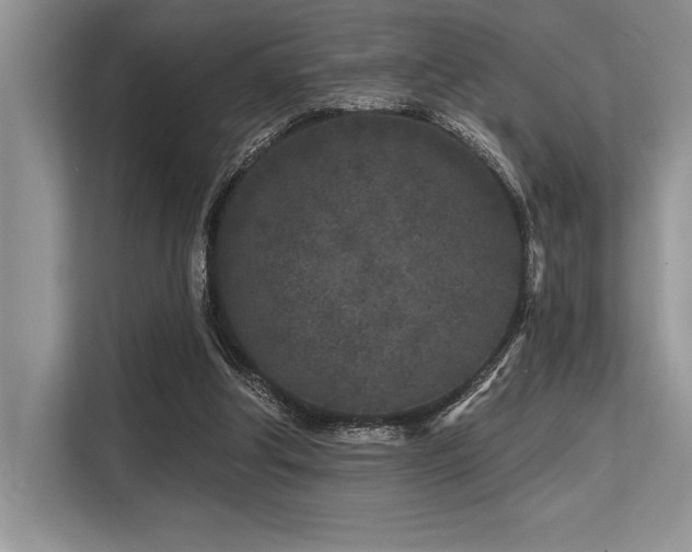 X0000113580202200909181314