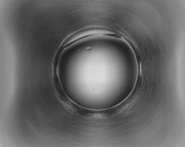 X0000113580204200909181314