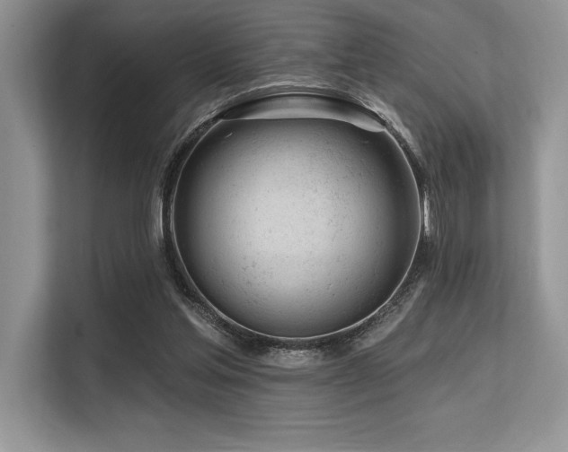 X0000113580205200909181314