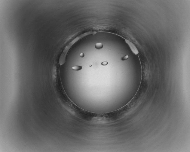 X0000113580211200909181314