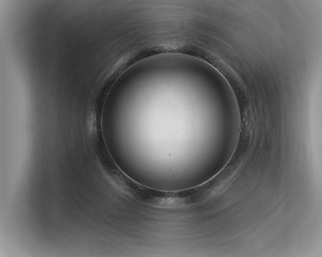 X0000113580212200909181314