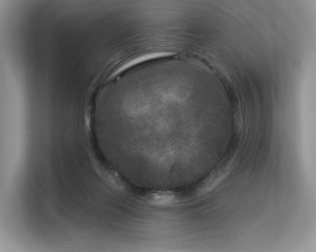 X0000113580214200909181314