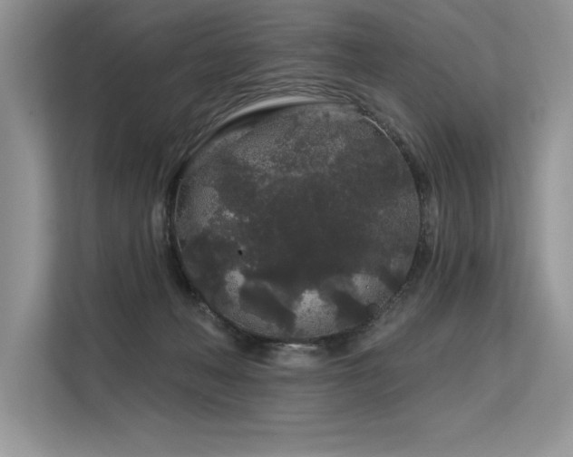 X0000113580222200909181313