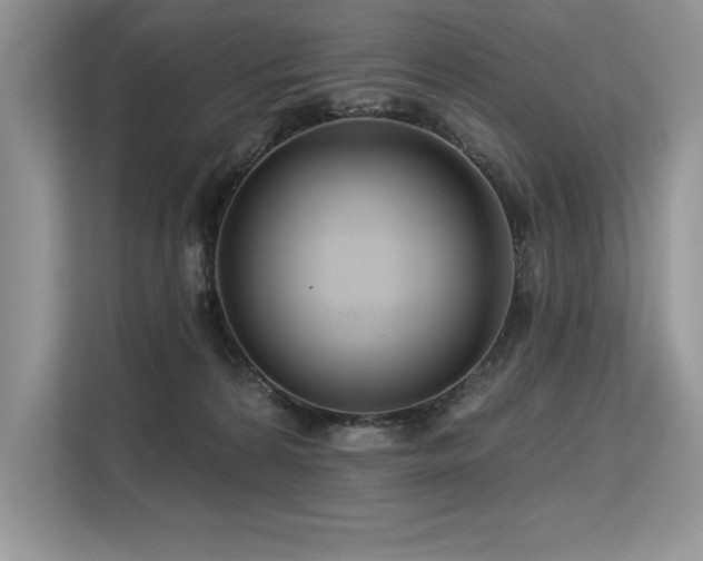 X0000113580224200909181313