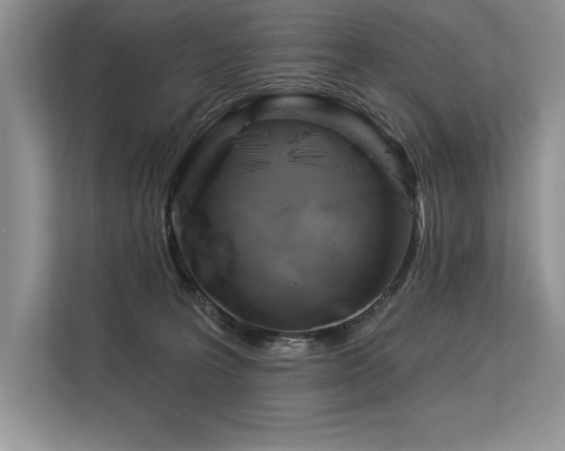 X0000113580227200909181313