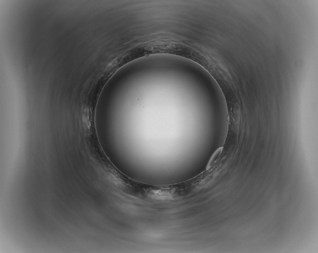X0000113580232200909181313