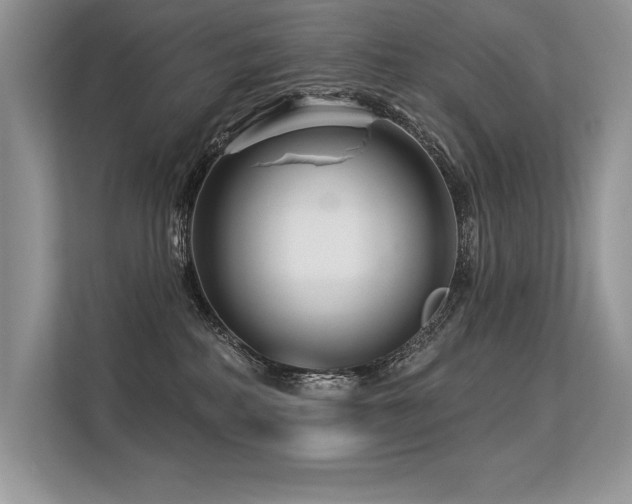 X0000113580234200909181313