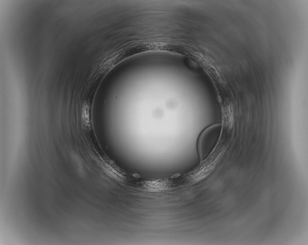 X0000113580238200909181313