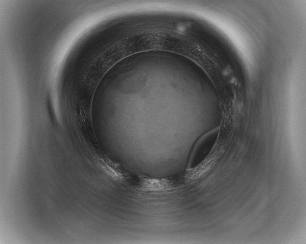 X0000113580239200909181313
