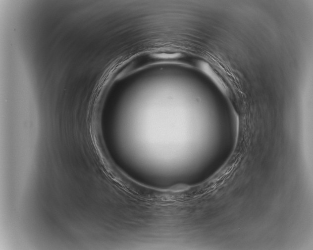 X0000113580241200909181313