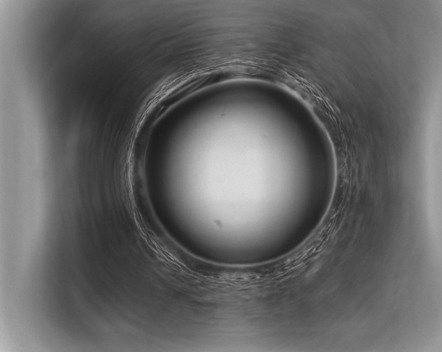 X0000113580242200909181313