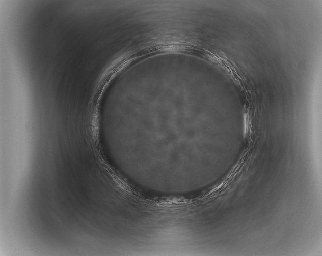 X0000113580243200909181313