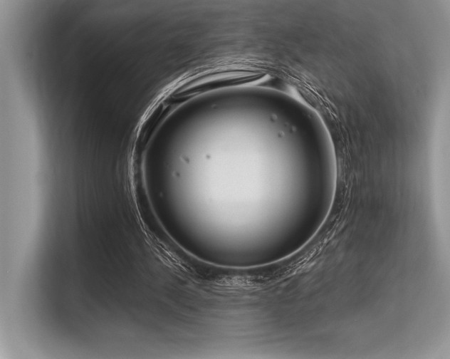 X0000113580244200909181313