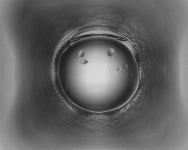 X0000113580245200909181313