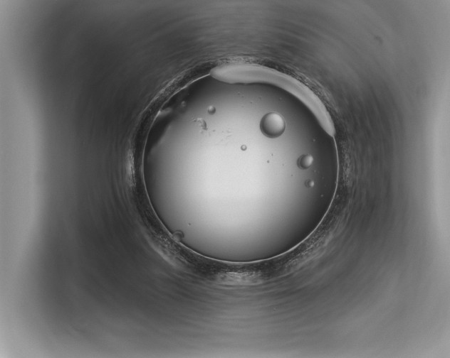 X0000113580251200909181313