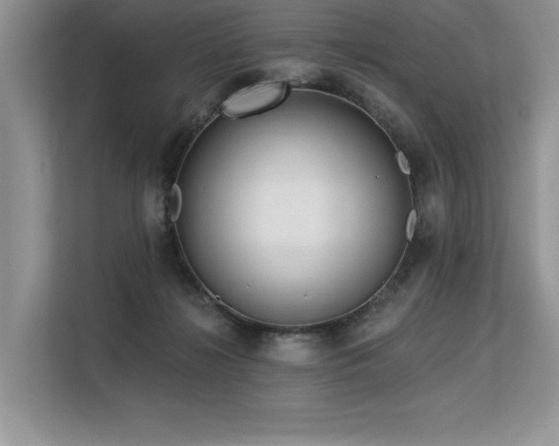 X0000113580268200909181313
