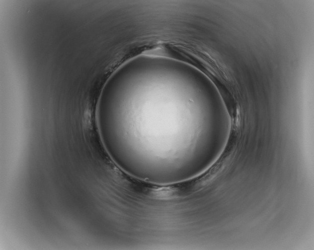 X0000113580269200909181313