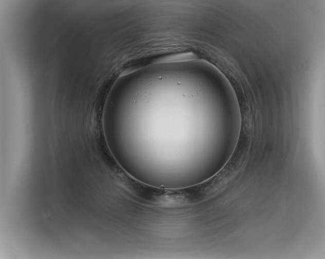 X0000113580270200909181313