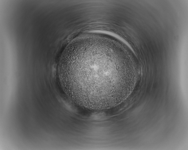 X0000113580271200909181313