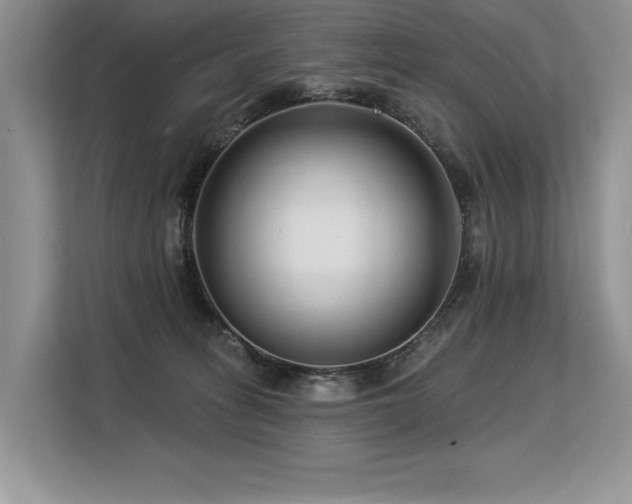 X0000113580275200909181313