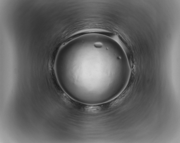 X0000113580277200909181313