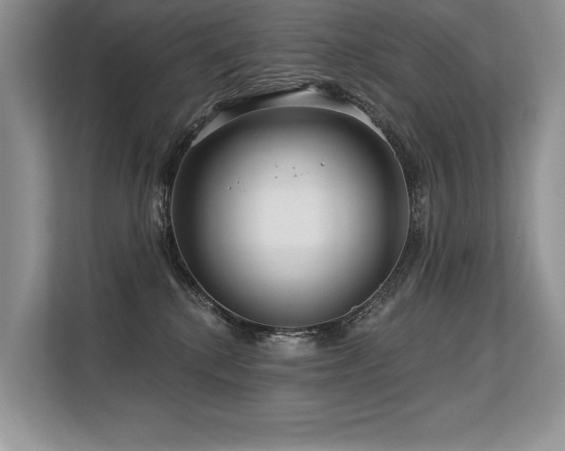 X0000113580280200909181313