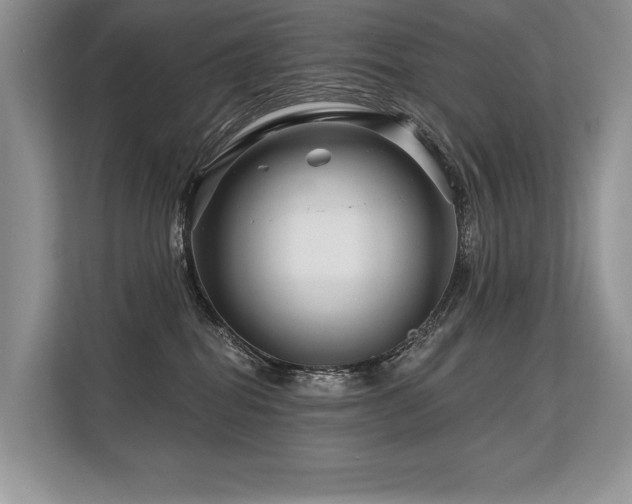 X0000113580282200909181313