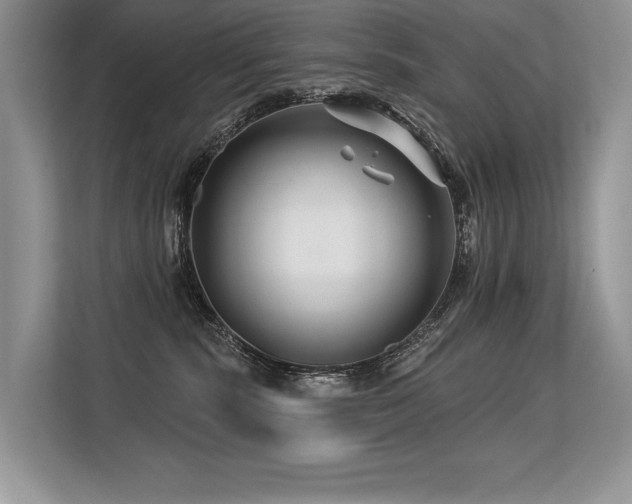 X0000113580283200909181313