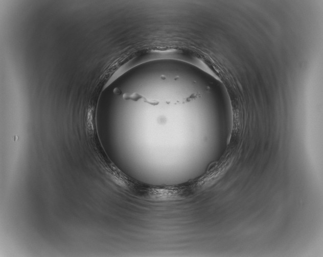X0000113580286200909181313