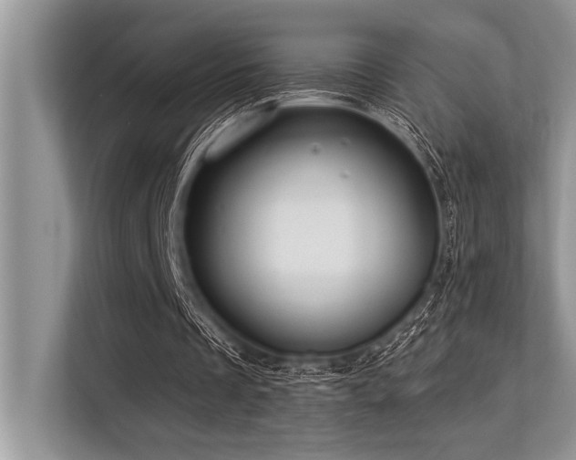 X0000113580289200909181313