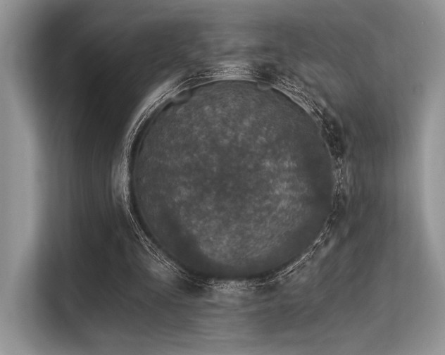 X0000113580293200909181313
