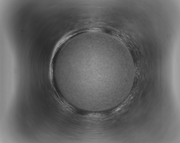 X0000113580294200909181313