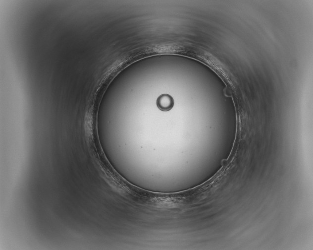 X0000113580297200909181313