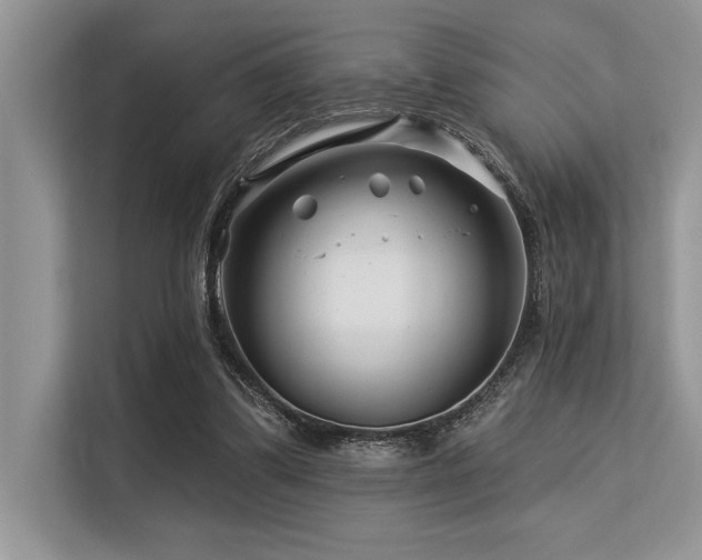 X0000113580299200909181312