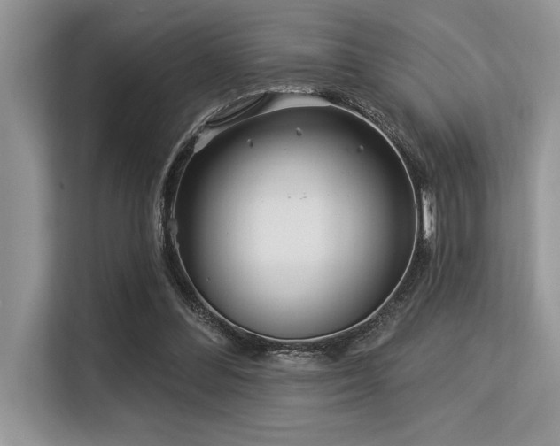X0000113580300200909181312