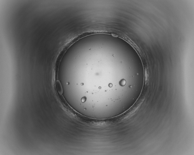 X0000113580301200909181312