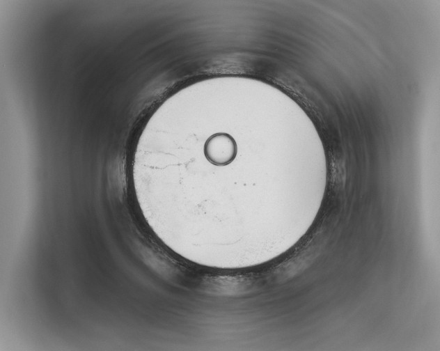 X0000113580302200909181312