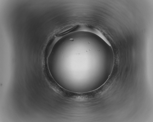 X0000113580303200909181312