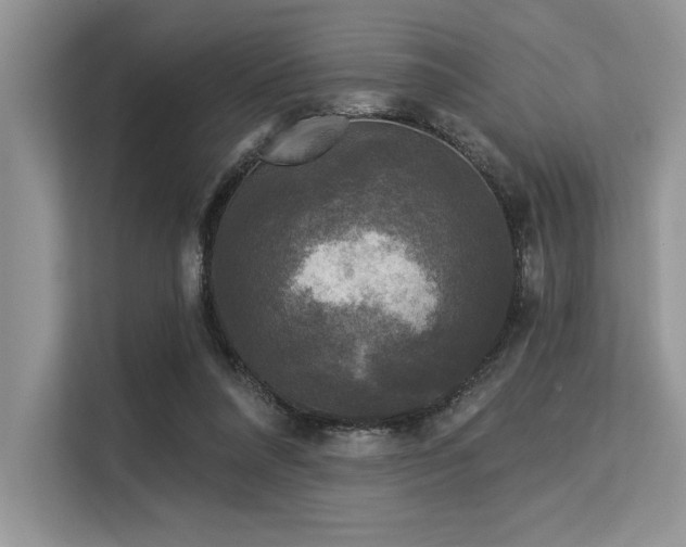 X0000113580304200909181312
