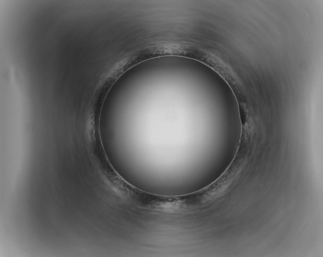 X0000113580306200909181312