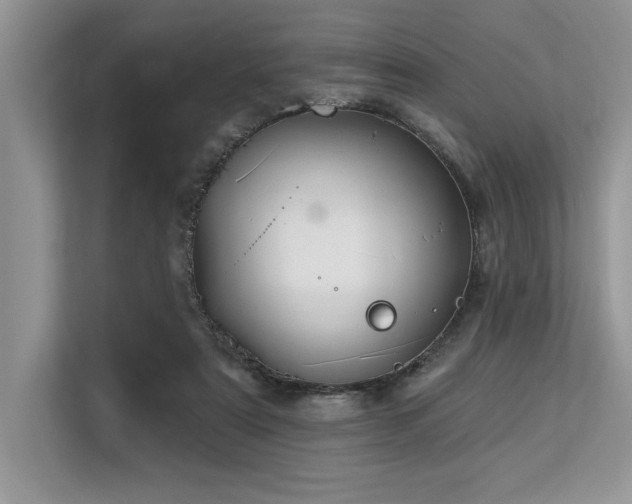 X0000113580307200909181312