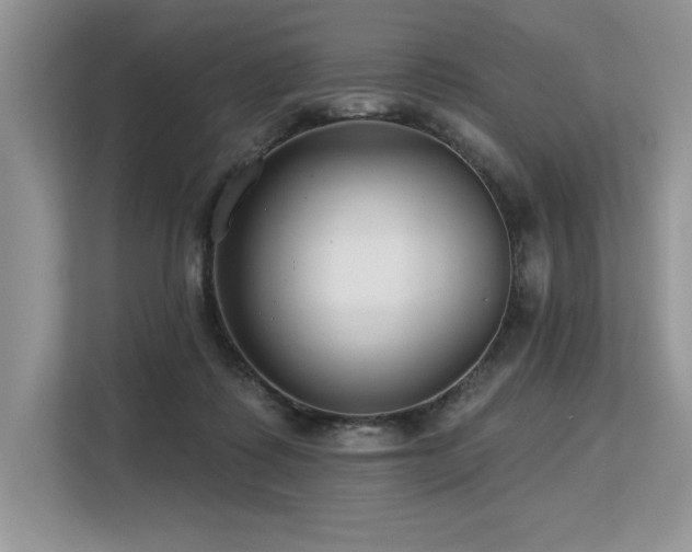 X0000113580315200909181312