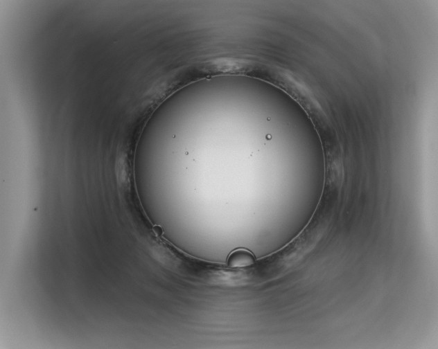 X0000113580317200909181312