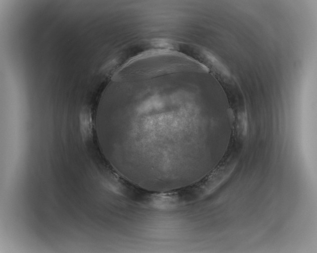 X0000113580320200909181312