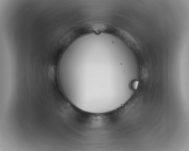 X0000113580321200909181312