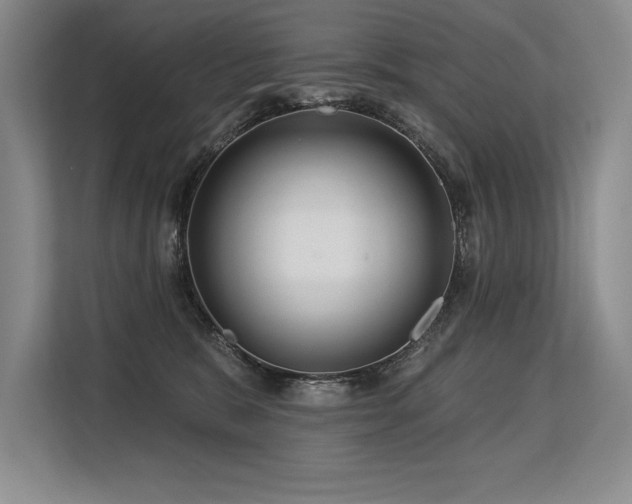 X0000113580327200909181312
