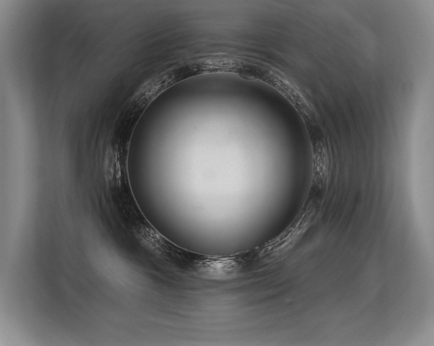 X0000113580333200909181312
